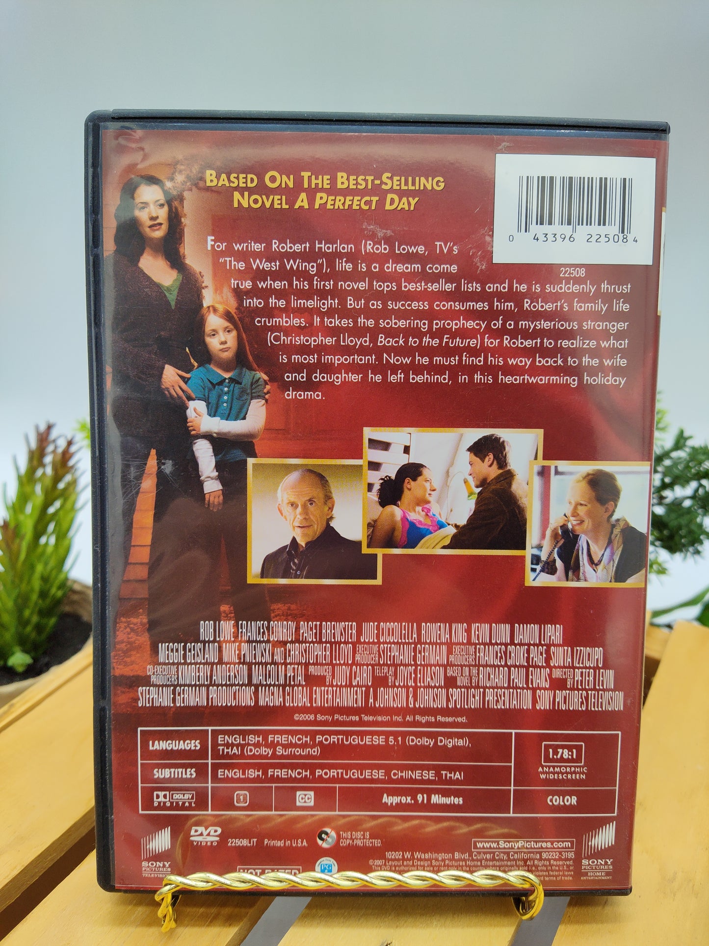 *A Perfect Day Christmas DVD