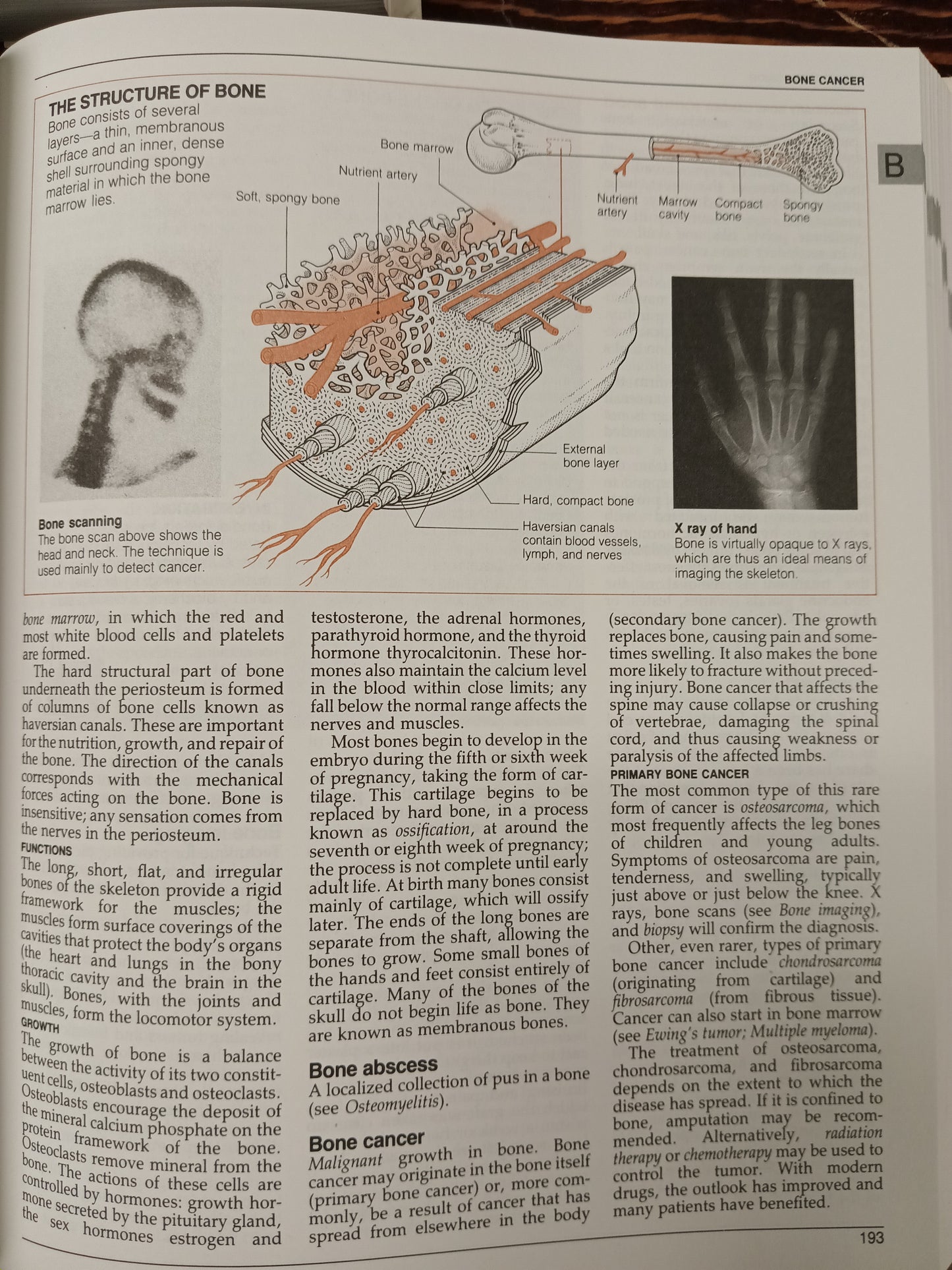 American Medical Association Home Medical Encyclopedia