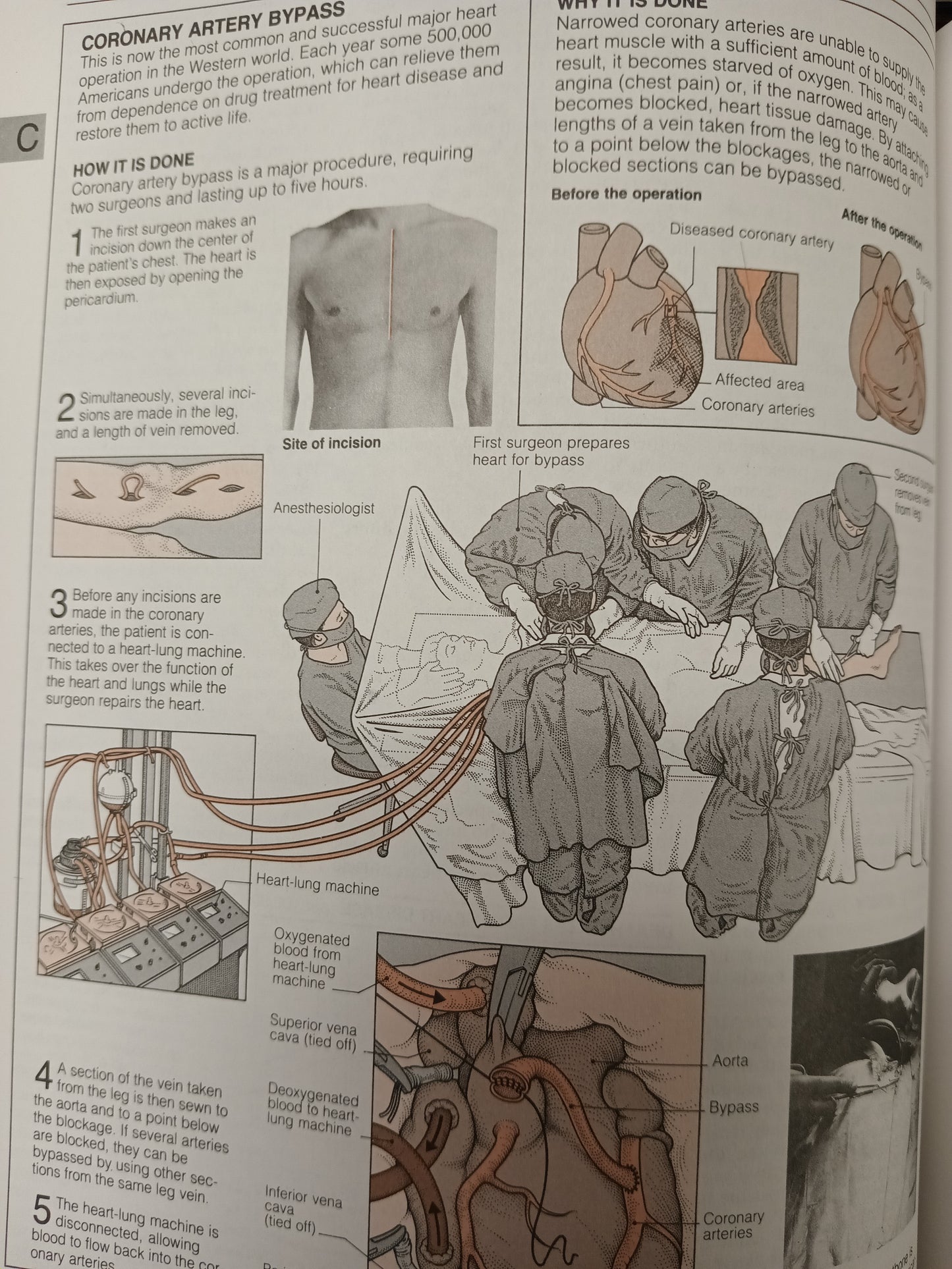 American Medical Association Home Medical Encyclopedia