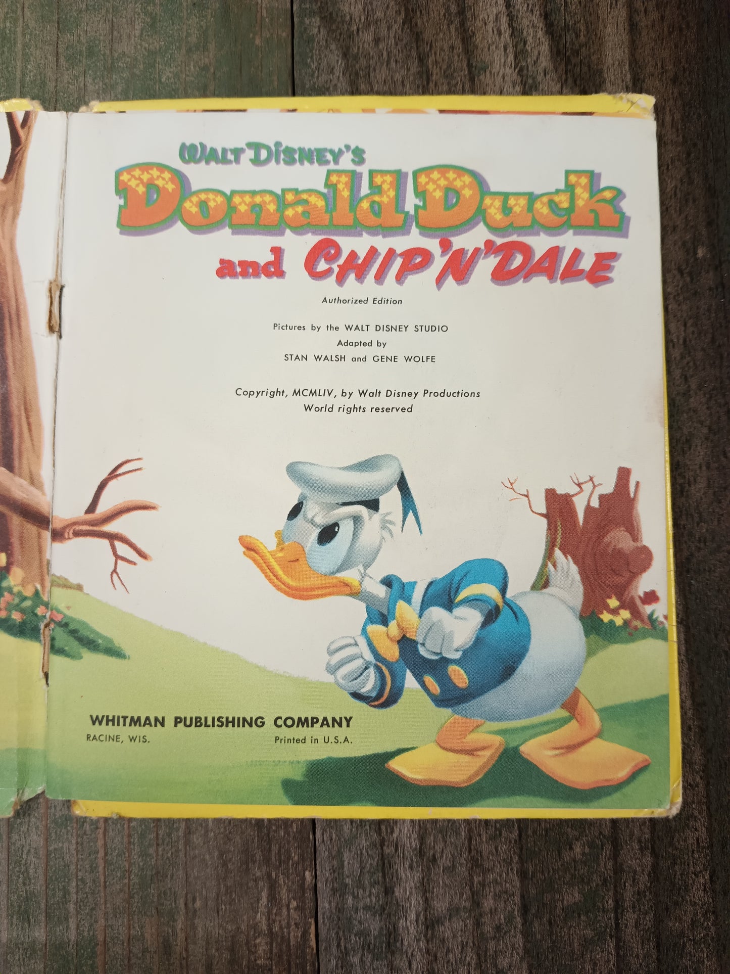 Donald Duck and Chip 'n' Dale