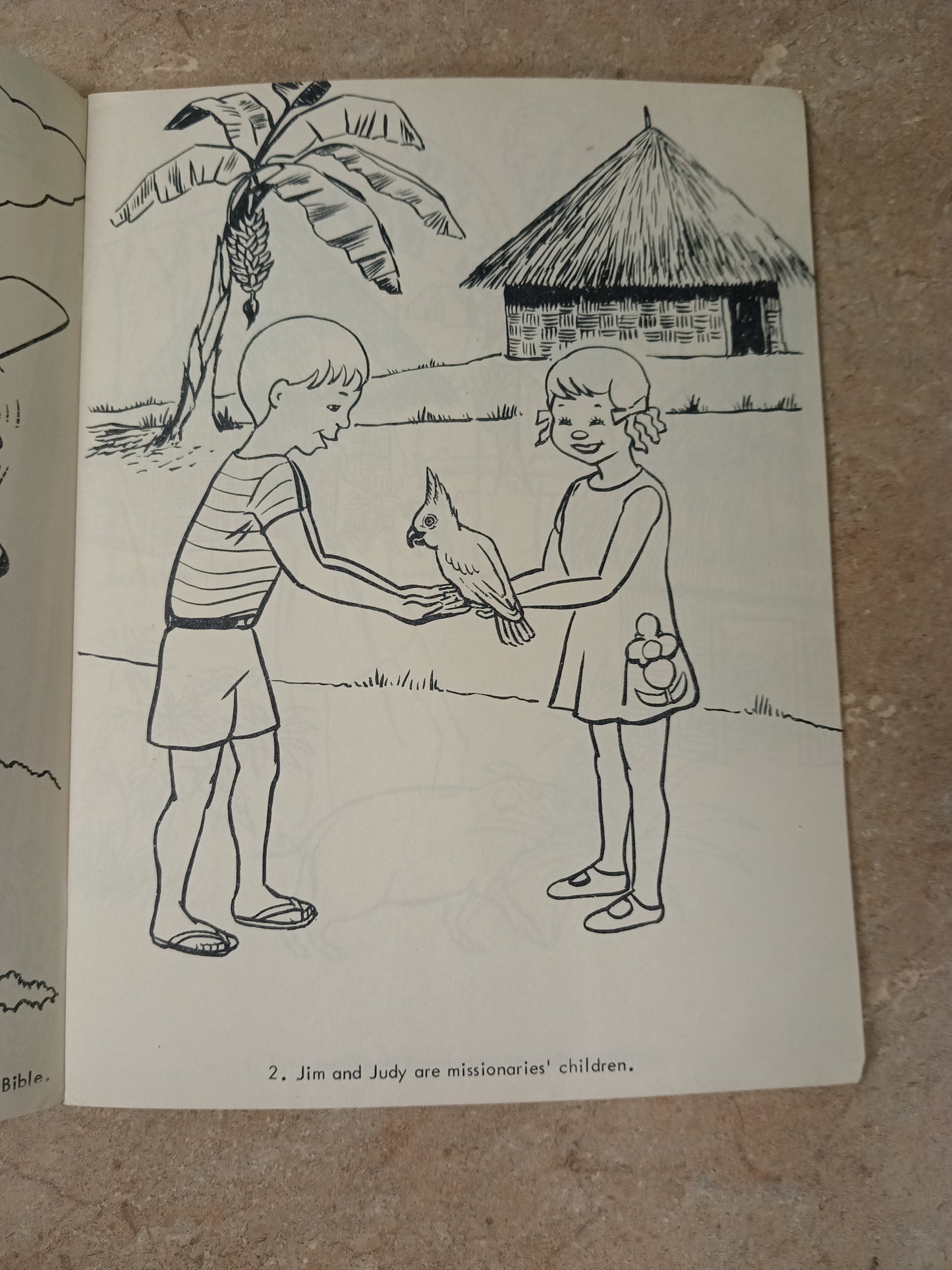 Jim and Judy In New Guinea Painting Book