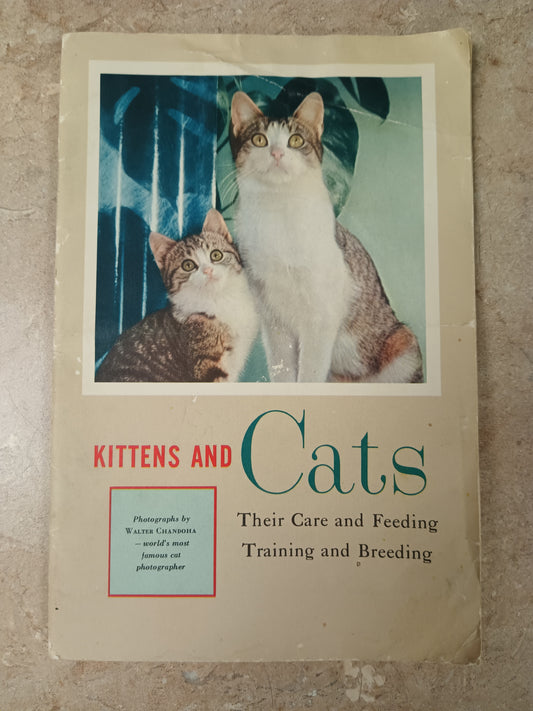Kittens and Cats (Their Care and Feeding and Breeding)