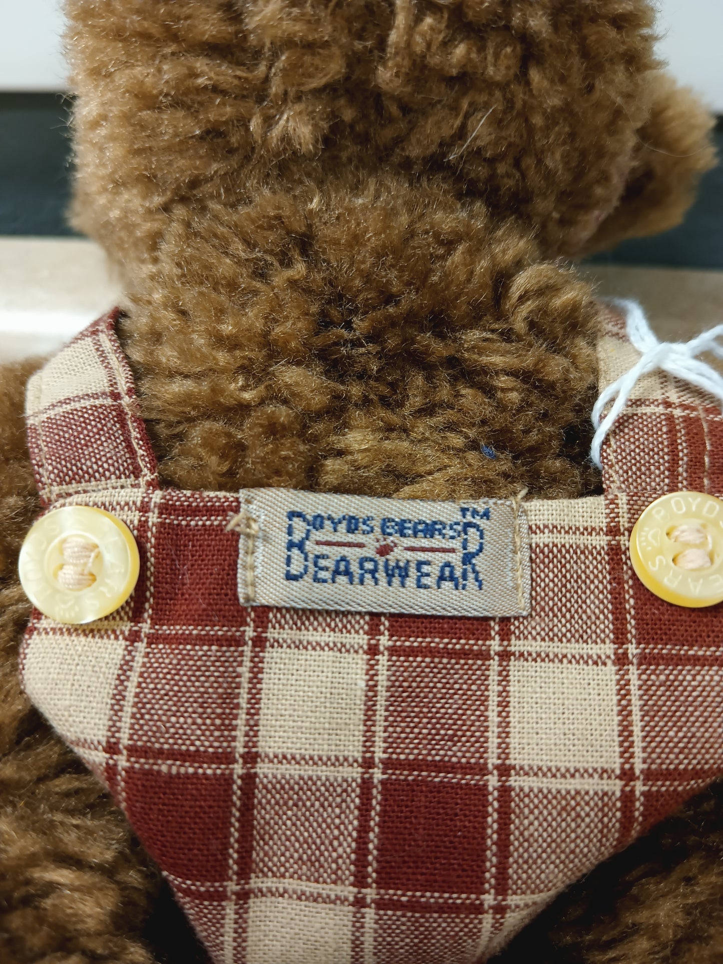 Teddy Bear In Dress