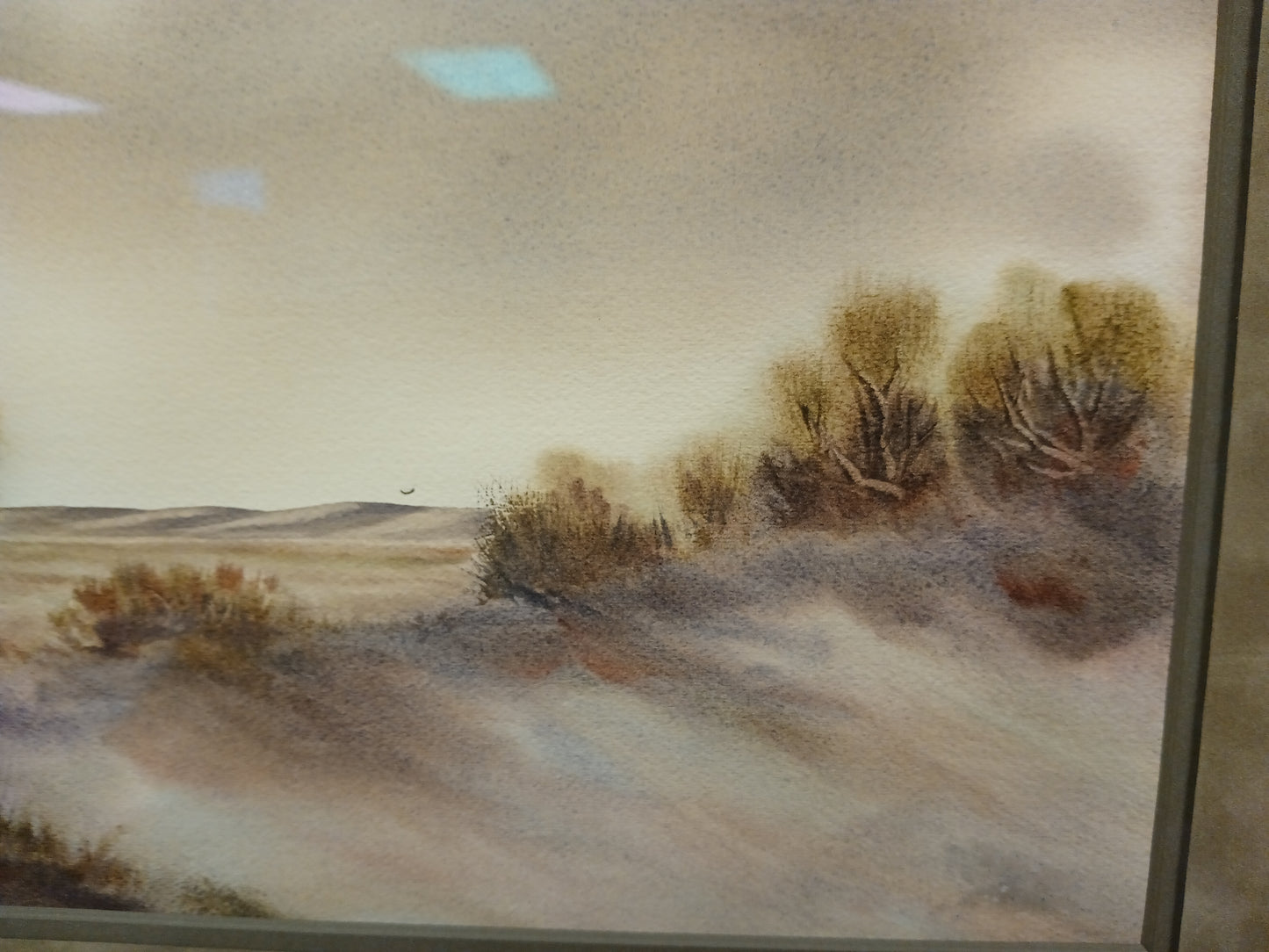 *Desert Scene Original Painting