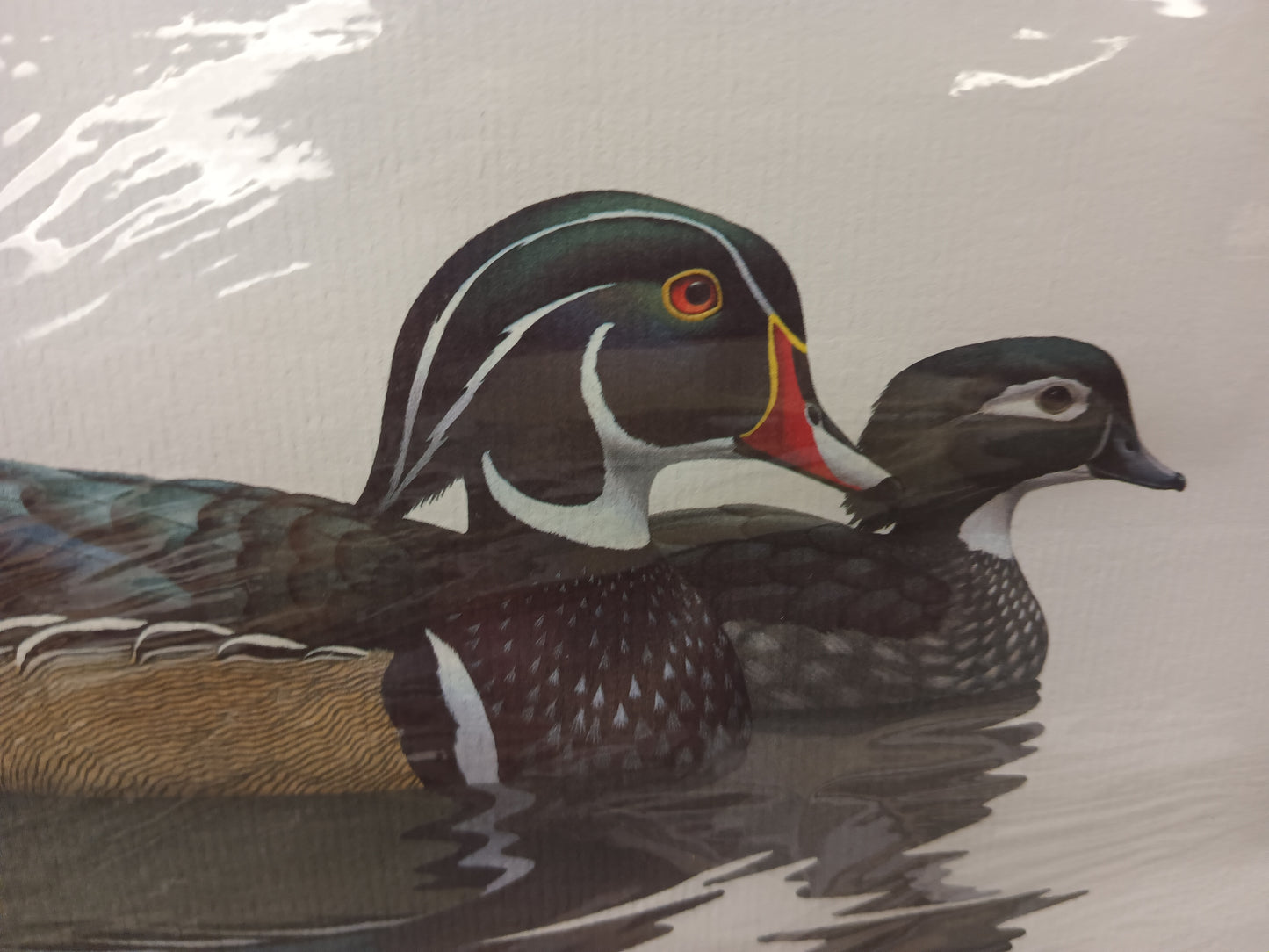 Sloan Mallard Ducks Print