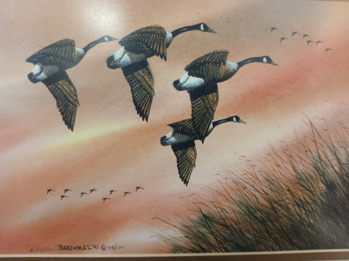 "Sunset Geese" Litho 48/100