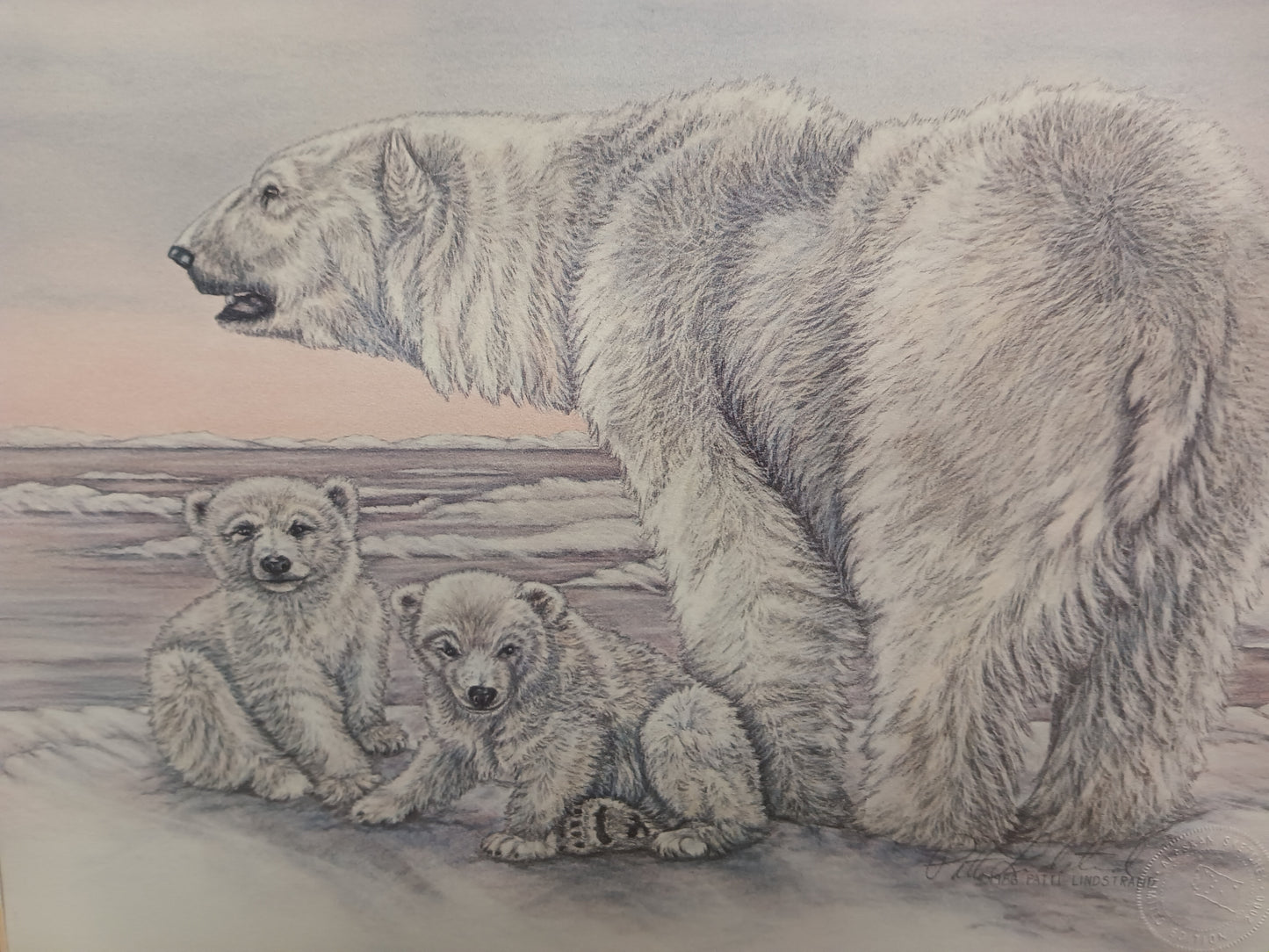 "Mama Polar Bear And Cubs" Print