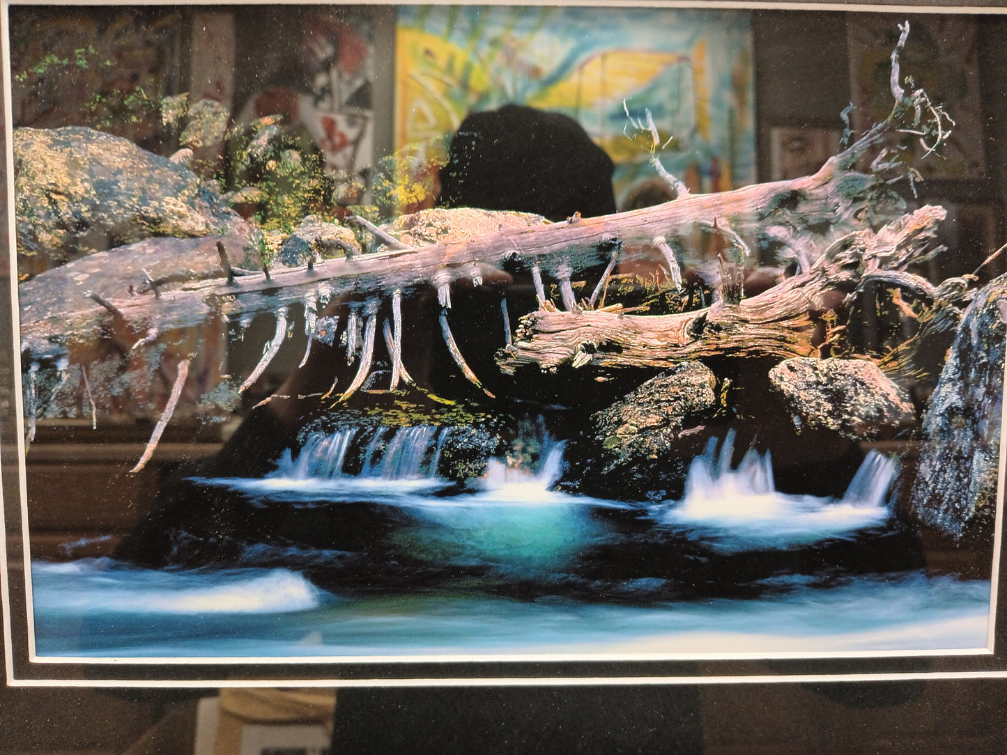 Log Over A Stream Wall Art Photograph